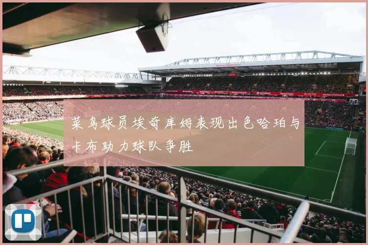 菜鸟球员埃奇库姆表现出色哈珀与卡布助力球队争胜