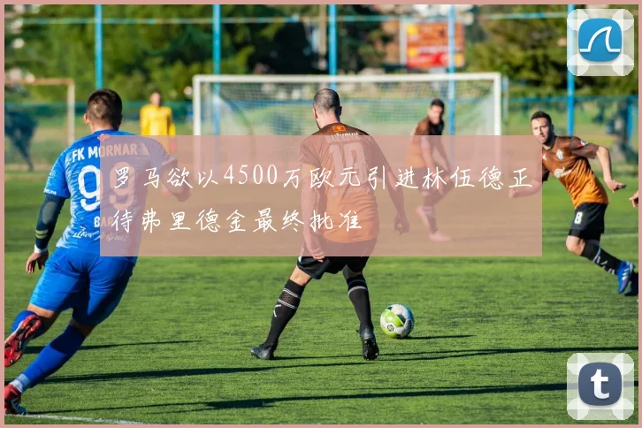 罗马欲以4500万欧元引进林伍德正待弗里德金最终批准